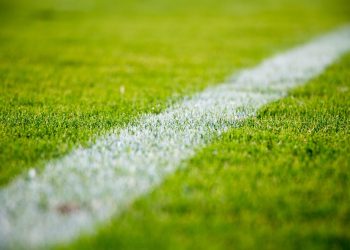 primo-piano-di-una-linea-bianca-su-erba-verde-in-un-campo-da-calcio